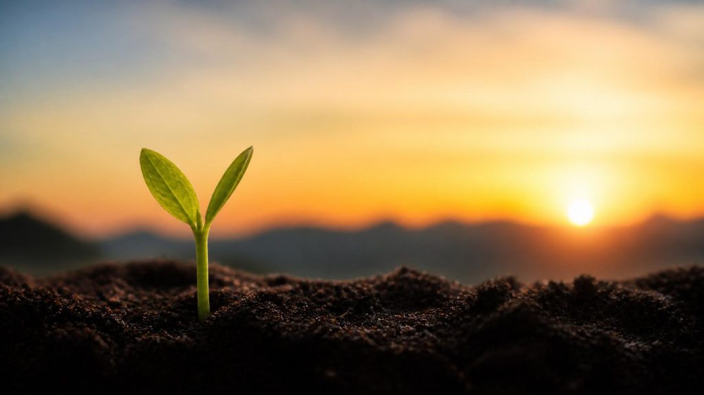 Regenerative Science and Human Performance