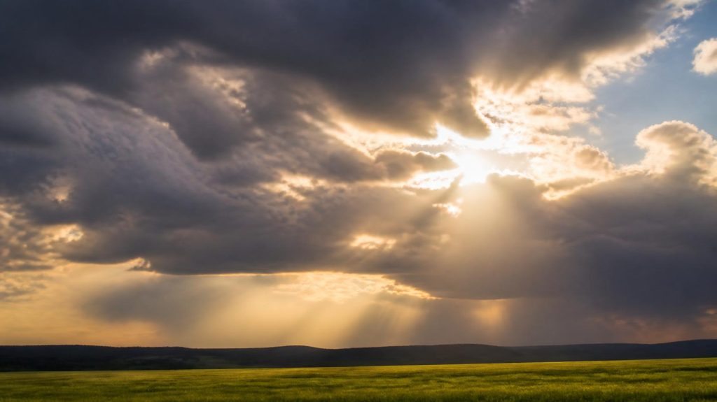 PTSD Recovery, Humanitarian Resilience and Emergency Response