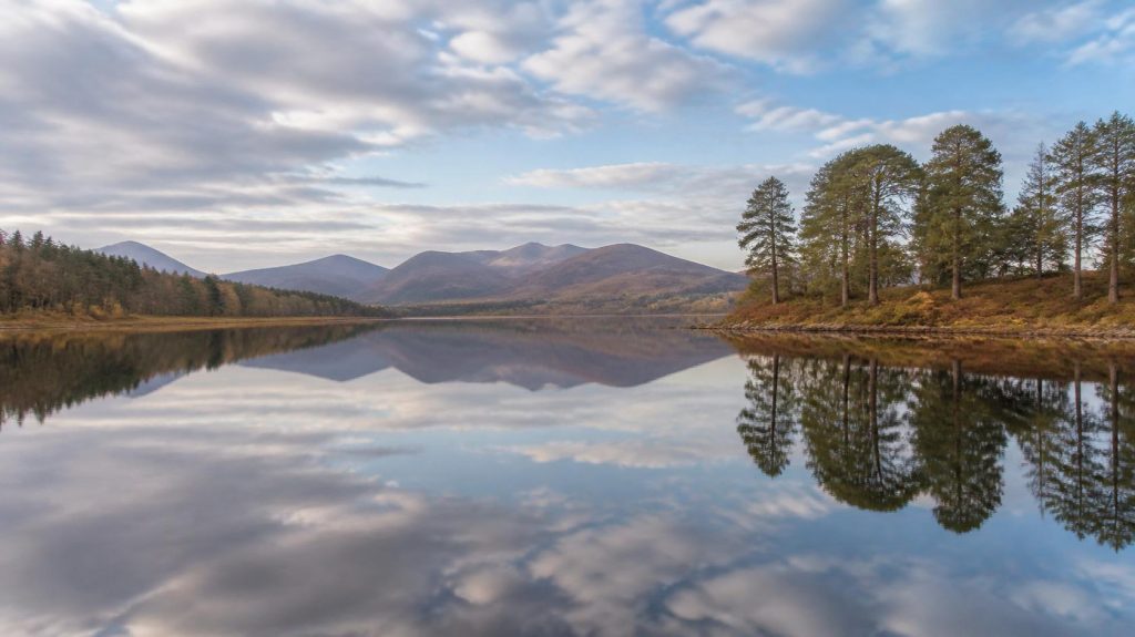 Environmental Regeneration and Human Wellbeing